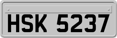 HSK5237