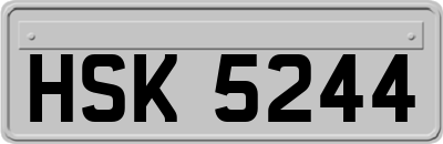 HSK5244