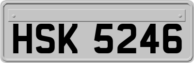 HSK5246