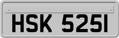 HSK5251