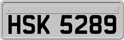 HSK5289