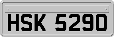 HSK5290