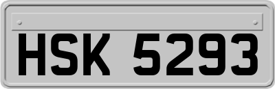 HSK5293