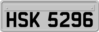 HSK5296