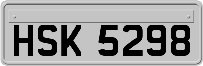 HSK5298