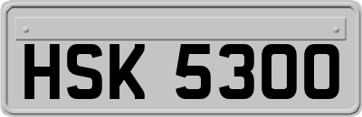 HSK5300