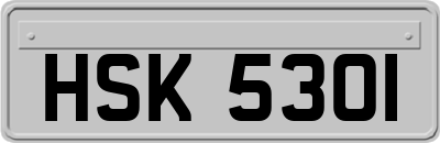 HSK5301