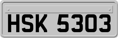 HSK5303