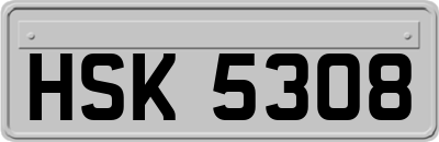 HSK5308