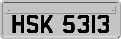 HSK5313