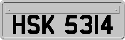 HSK5314