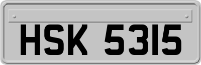 HSK5315