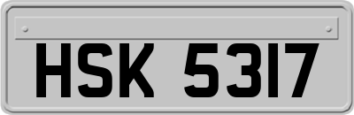 HSK5317