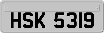 HSK5319