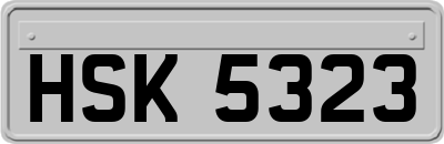 HSK5323