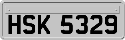 HSK5329