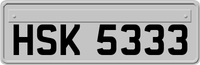 HSK5333