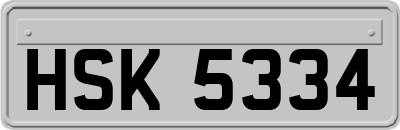 HSK5334