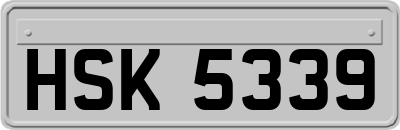 HSK5339