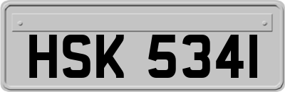 HSK5341