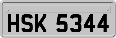 HSK5344