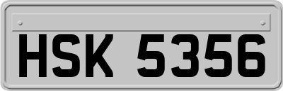HSK5356