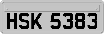 HSK5383