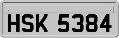 HSK5384