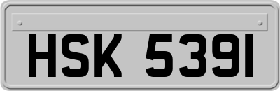 HSK5391