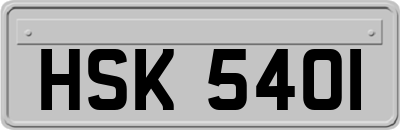 HSK5401