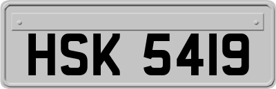 HSK5419