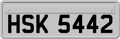 HSK5442