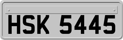 HSK5445