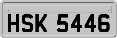 HSK5446