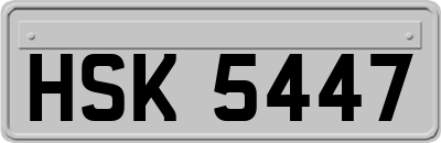 HSK5447
