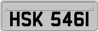 HSK5461
