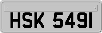 HSK5491