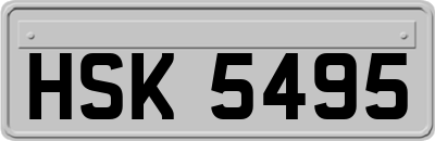 HSK5495
