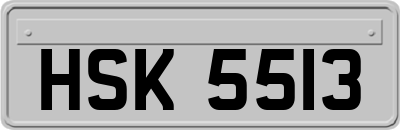 HSK5513