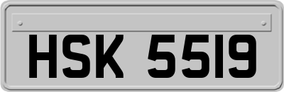 HSK5519