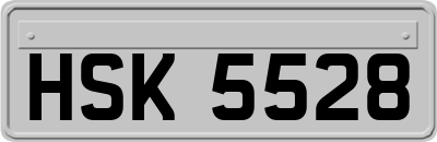 HSK5528