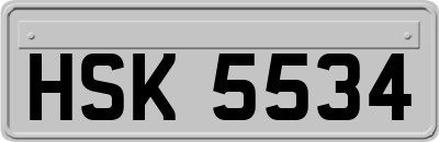 HSK5534