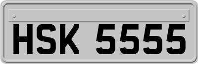 HSK5555