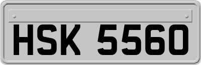 HSK5560