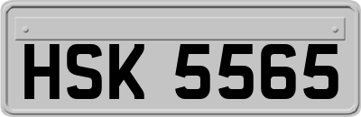 HSK5565