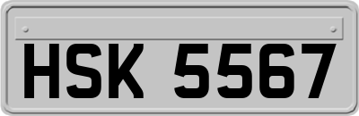 HSK5567