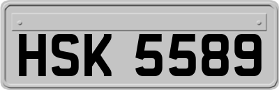 HSK5589