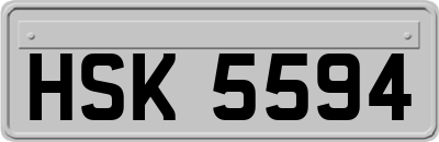 HSK5594