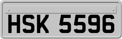 HSK5596
