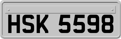 HSK5598